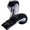 Coach Boxing Glove 2 Coach Boxing Glove -Martial Arts Supplies 930