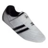 Taekwondo Shoes 1 Taekwondo Shoes -Martial Arts Supplies tkd wht shoe