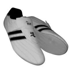 Taekwondo Shoes -Martial Arts Supplies tkd wht shoe 3